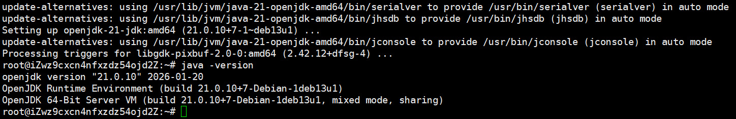 openjdk-21安装完成