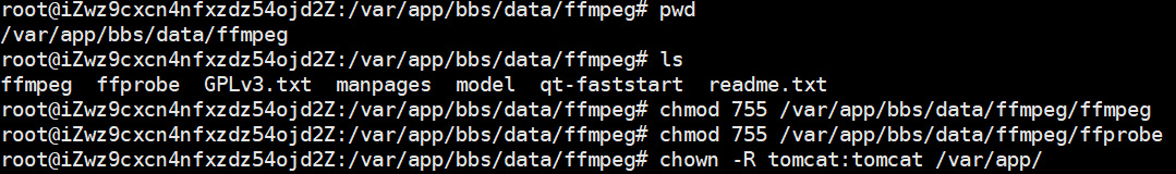 复制ffmpeg到轻论坛